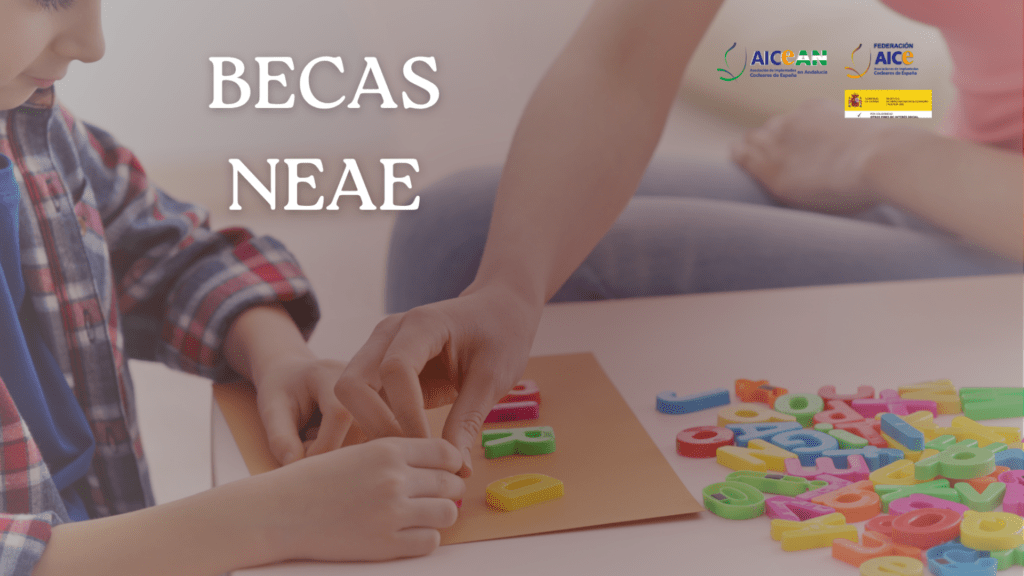 Nuevas ayudas NEAE del Ministerio de Educación para el curso 2026-2027