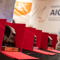 Estatuillas de los Premios AICE 2025.