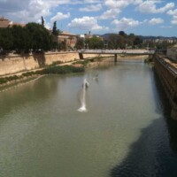 Cauce del Río Segura (Murcia)